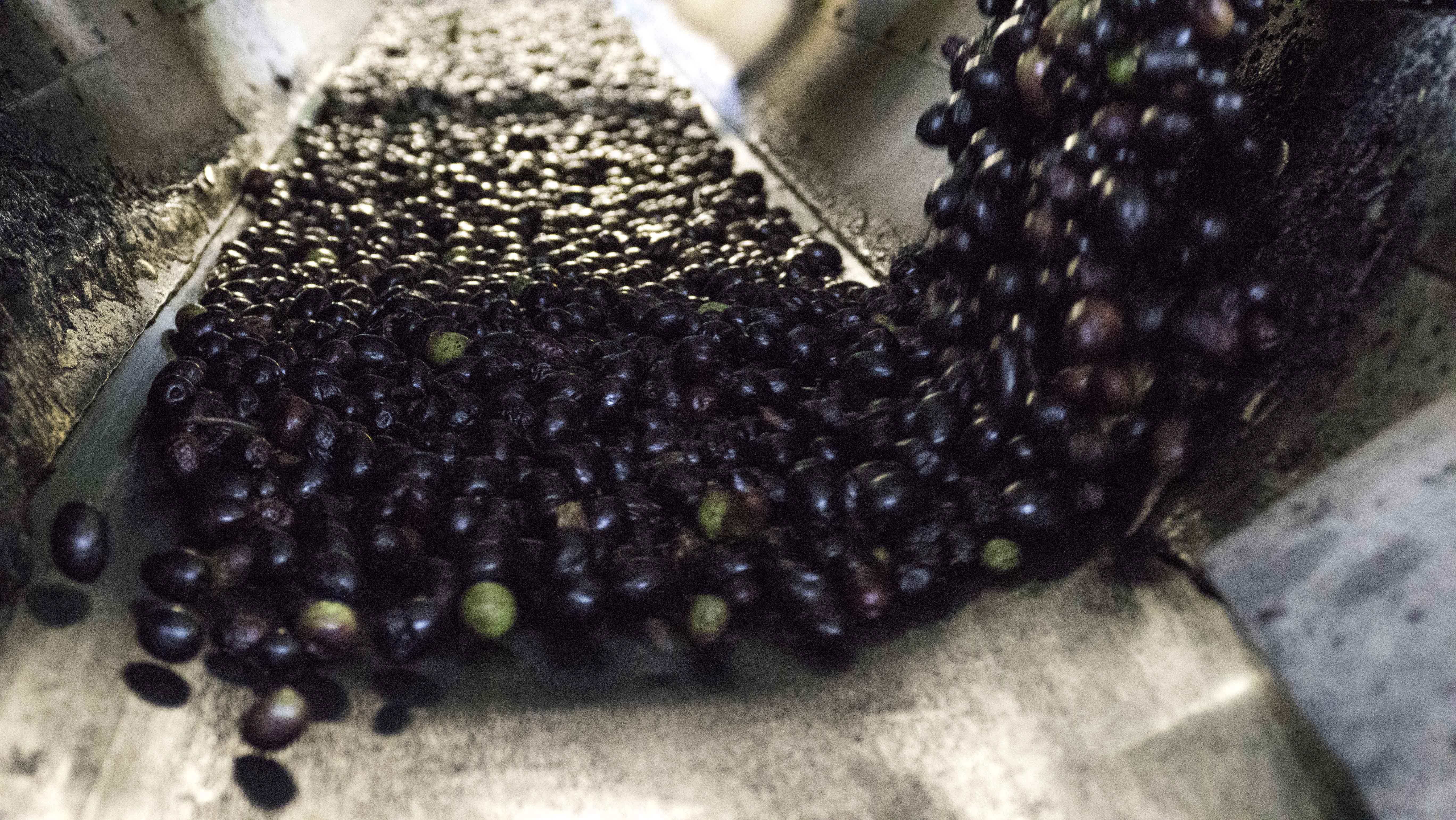 This image for Image Layouts addon