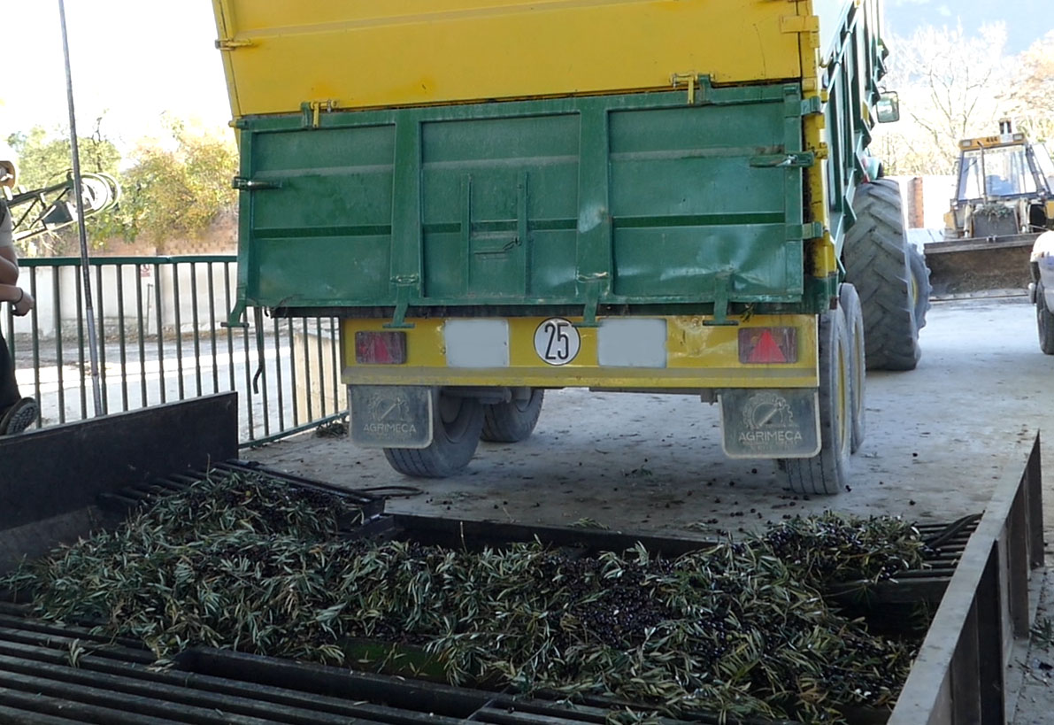 This image for Image Layouts addon